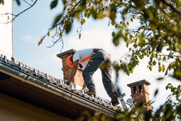 Roof Moss and Algae Removal in The Hills, TX